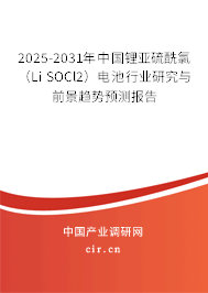 2025-2031年中國鋰亞硫酰氯（Li SOCl2）電池行業(yè)研究與前景趨勢預測報告