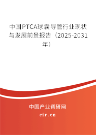 中國PTCA球囊導(dǎo)管行業(yè)現(xiàn)狀與發(fā)展前景報(bào)告（2025-2031年）