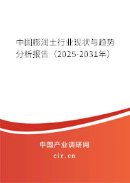 中國膨潤土行業(yè)現(xiàn)狀與趨勢分析報告（2025-2031年）