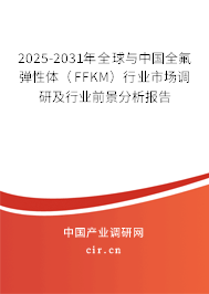 2025-2031年全球與中國(guó)全氟彈性體（FFKM）行業(yè)市場(chǎng)調(diào)研及行業(yè)前景分析報(bào)告