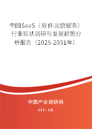中國SaaS（軟件運營服務(wù)）行業(yè)現(xiàn)狀調(diào)研與發(fā)展趨勢分析報告（2025-2031年）