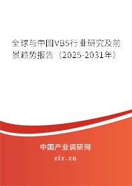 全球與中國(guó)VB5行業(yè)研究及前景趨勢(shì)報(bào)告（2025-2031年）