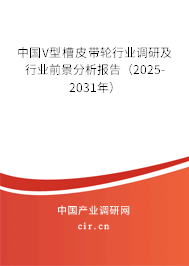 中國V型槽皮帶輪行業(yè)調(diào)研及行業(yè)前景分析報告（2025-2031年）