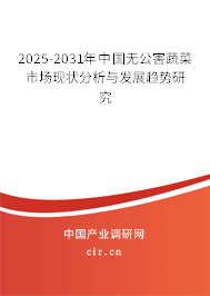 2025-2031年中國(guó)無(wú)公害蔬菜市場(chǎng)現(xiàn)狀分析與發(fā)展趨勢(shì)研究