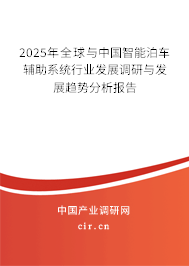 2025年全球與中國智能泊車輔助系統(tǒng)行業(yè)發(fā)展調(diào)研與發(fā)展趨勢分析報告