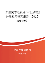 新形勢下電視媒體行業(yè)轉(zhuǎn)型升級戰(zhàn)略研究報(bào)告（2012-2016年）