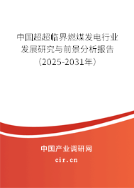 中國超超臨界燃煤發(fā)電行業(yè)發(fā)展研究與前景分析報告（2025-2031年）