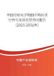 中國(guó)導(dǎo)航電子地圖市場(chǎng)現(xiàn)狀分析與發(fā)展前景預(yù)測(cè)報(bào)告（2025-2031年）