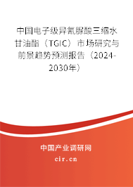 中國(guó)電子級(jí)異氰脲酸三縮水甘油酯（TGIC）市場(chǎng)研究與前景趨勢(shì)預(yù)測(cè)報(bào)告（2024-2030年）
