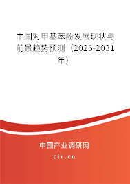 中國對甲基苯酚發(fā)展現(xiàn)狀與前景趨勢預(yù)測（2025-2031年）