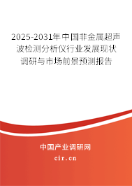2025-2031年中國非金屬超聲波檢測分析儀行業(yè)發(fā)展現(xiàn)狀調(diào)研與市場前景預(yù)測報告