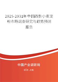 2025-2031年中國改性小麥淀粉市場調(diào)查研究與趨勢預測報告
