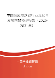 中國感應(yīng)電爐鋼行業(yè)現(xiàn)狀與發(fā)展前景預(yù)測報(bào)告（2025-2031年）