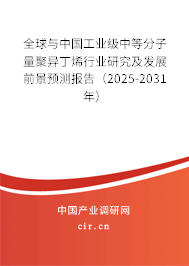全球與中國工業(yè)級中等分子量聚異丁烯行業(yè)研究及發(fā)展前景預(yù)測報告（2025-2031年）