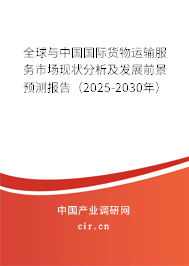 全球與中國國際貨物運輸服務市場現(xiàn)狀分析及發(fā)展前景預測報告（2025-2030年）