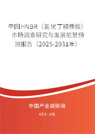 中國HNBR（氫化丁腈橡膠）市場調(diào)查研究與發(fā)展前景預(yù)測報告（2025-2031年）