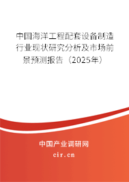 中國(guó)海洋工程配套設(shè)備制造行業(yè)現(xiàn)狀研究分析及市場(chǎng)前景預(yù)測(cè)報(bào)告（2025年）