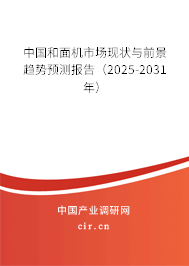 中國(guó)和面機(jī)市場(chǎng)現(xiàn)狀與前景趨勢(shì)預(yù)測(cè)報(bào)告（2024-2030年）
