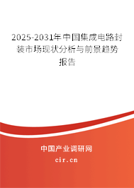 2025-2031年中國集成電路封裝市場現(xiàn)狀分析與前景趨勢報告