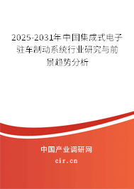 2025-2031年中國集成式電子駐車制動系統(tǒng)行業(yè)研究與前景趨勢分析