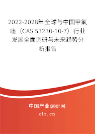 2022-2028年全球與中國甲氟喹（CAS 53230-10-7）行業(yè)發(fā)展全面調研與未來趨勢分析報告