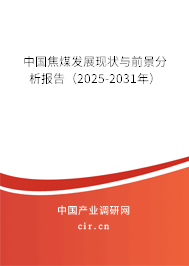 中國焦煤發(fā)展現(xiàn)狀與前景分析報(bào)告（2025-2031年）