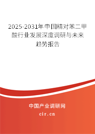 2025-2031年中國精對苯二甲酸行業(yè)發(fā)展深度調研與未來趨勢報告