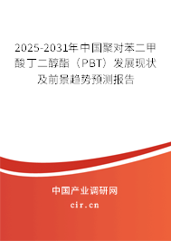 2025-2031年中國聚對苯二甲酸丁二醇酯（PBT）發(fā)展現(xiàn)狀及前景趨勢預測報告