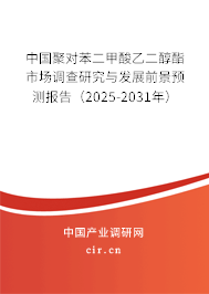 中國(guó)聚對(duì)苯二甲酸乙二醇酯市場(chǎng)調(diào)查研究與發(fā)展前景預(yù)測(cè)報(bào)告（2025-2031年）