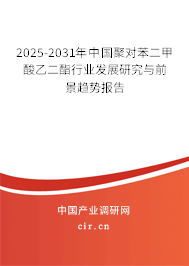 2025-2031年中國(guó)聚對(duì)苯二甲酸乙二酯行業(yè)發(fā)展研究與前景趨勢(shì)報(bào)告