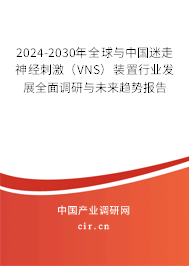 2024-2030年全球與中國(guó)迷走神經(jīng)刺激（VNS）裝置行業(yè)發(fā)展全面調(diào)研與未來趨勢(shì)報(bào)告