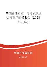 中國(guó)普通鋅錳干電池發(fā)展現(xiàn)狀與市場(chǎng)前景報(bào)告（2025-2031年）