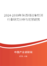 2024-2030年陜西機動車檢測行業(yè)研究分析與前景趨勢