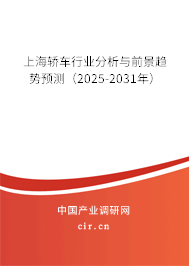 上海轎車行業(yè)分析與前景趨勢預(yù)測（2025-2031年）