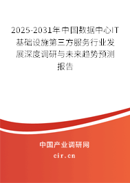 2025-2031年中國(guó)數(shù)據(jù)中心IT基礎(chǔ)設(shè)施第三方服務(wù)行業(yè)發(fā)展深度調(diào)研與未來(lái)趨勢(shì)預(yù)測(cè)報(bào)告
