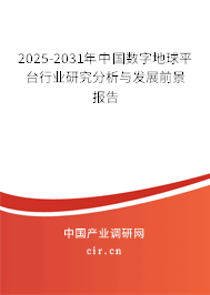 2025-2031年中國數(shù)字地球平臺行業(yè)研究分析與發(fā)展前景報告