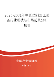2024-2030年中國塑料加工設備行業(yè)現(xiàn)狀與市場前景分析報告