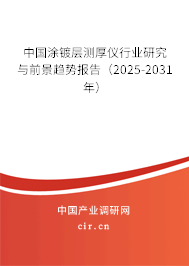 中國涂鍍層測厚儀行業(yè)研究與前景趨勢報告（2025-2031年）