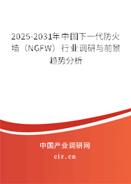 2025-2031年中國下一代防火墻（NGFW）行業(yè)調(diào)研與前景趨勢(shì)分析