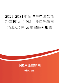 2025-2031年全球與中國(guó)智能功率模塊（IPM）接口光耦市場(chǎng)現(xiàn)狀分析及前景趨勢(shì)報(bào)告