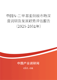 中國N-二甲基亞硝胺市場深度調(diào)研及發(fā)展趨勢評估報(bào)告（2025-2031年）