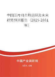 中國(guó)壓片機(jī)市場(chǎng)調(diào)研及未來(lái)趨勢(shì)預(yù)測(cè)報(bào)告（2025-2031年）