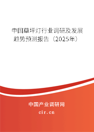 中國草坪燈行業(yè)調(diào)研及發(fā)展趨勢預(yù)測報告（2025年）