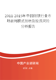 2011-2015年中國硅鐵行業(yè)市場贏利模式剖析及投資風(fēng)險(xiǎn)分析報(bào)告