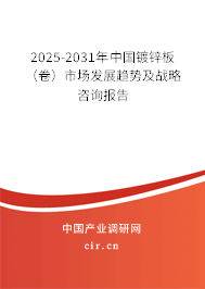 2025-2031年中國鍍鋅板（卷）市場發(fā)展趨勢及戰(zhàn)略咨詢報告