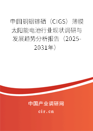中國銅銦鎵硒（CIGS）薄膜太陽能電池行業(yè)現(xiàn)狀調(diào)研與發(fā)展趨勢分析報(bào)告（2025-2031年）
