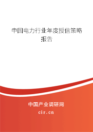 中國電力行業(yè)年度授信策略報告