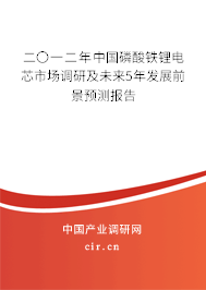 二〇一二年中國磷酸鐵鋰電芯市場調(diào)研及未來5年發(fā)展前景預(yù)測報告