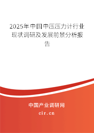 2025年中國中壓壓力計(jì)行業(yè)現(xiàn)狀調(diào)研及發(fā)展前景分析報(bào)告