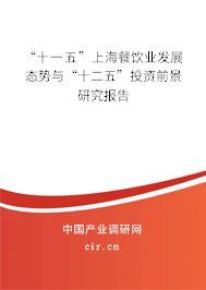 “十一五”上海餐飲業(yè)發(fā)展態(tài)勢與“十二五”投資前景研究報告